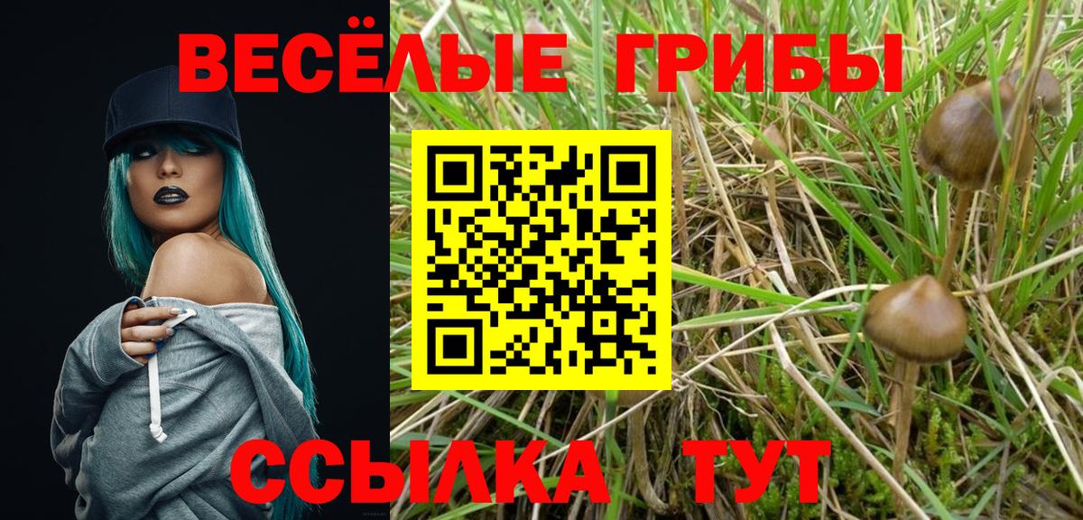 Нововоронеж  Псилоцибиновые грибы ЛСД  Вход с VPN 