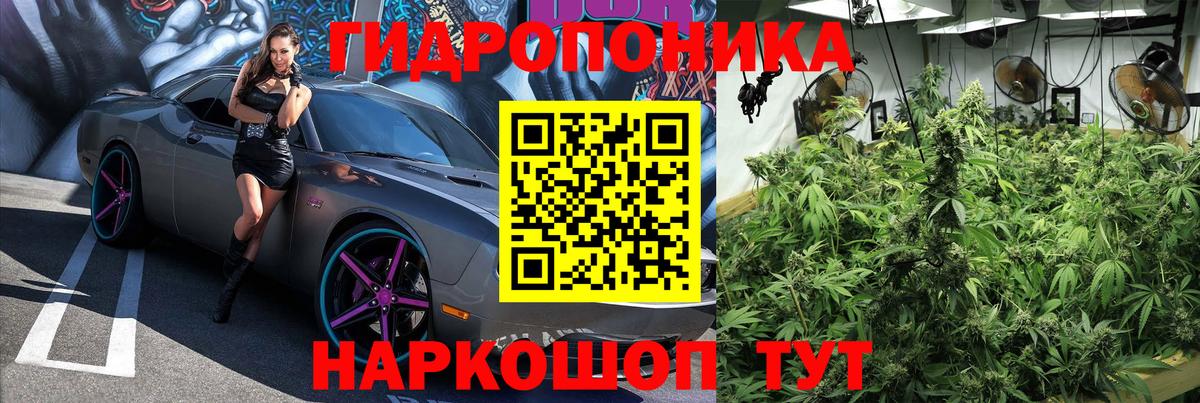 Каннабис LSD WEED  Марихуана план  Нововоронеж  Вход с VPN  Бошки марихуана тримм 
